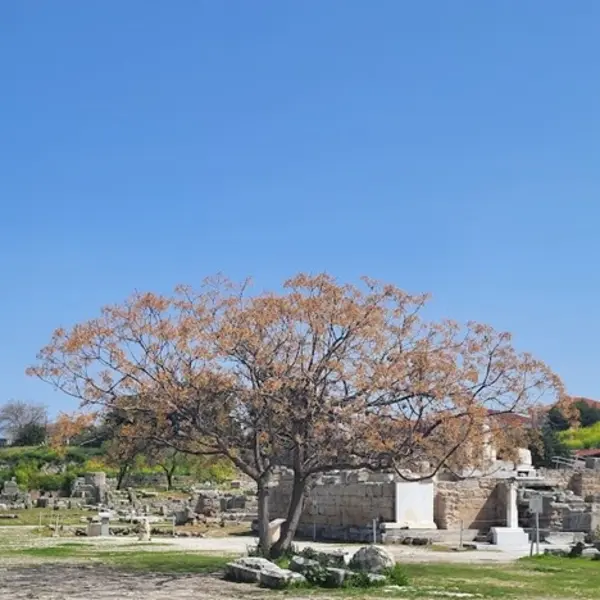 Image of the Ancient Agora